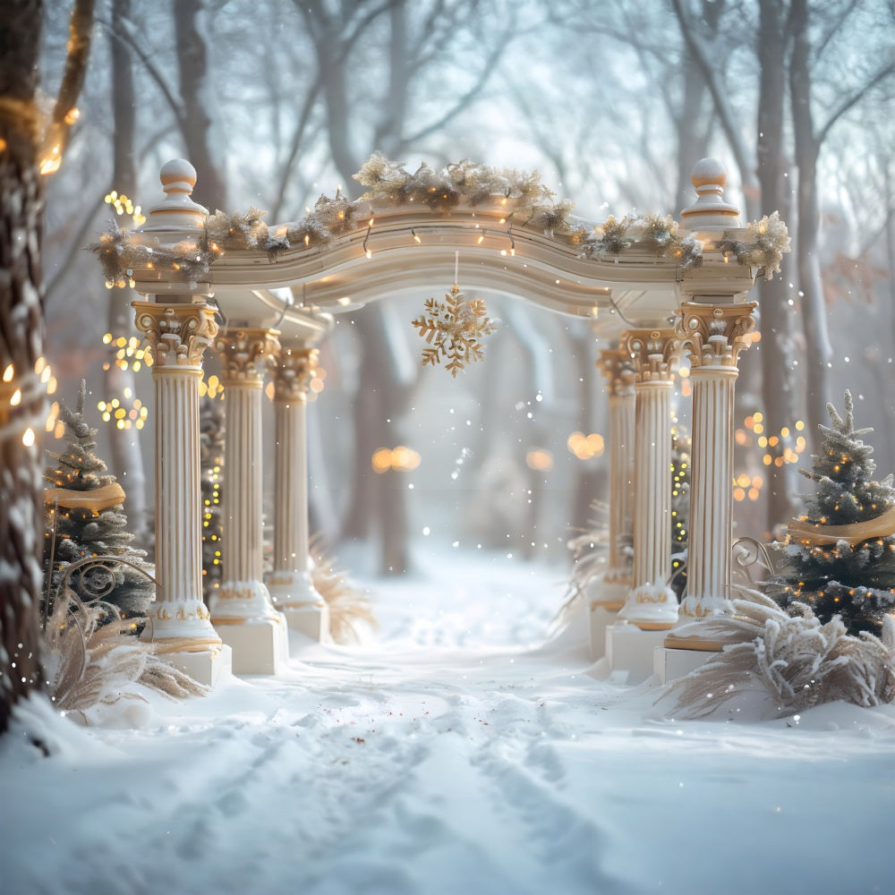 Christmas Snowflake Archway Wonderland Backdrop UK RR7-613