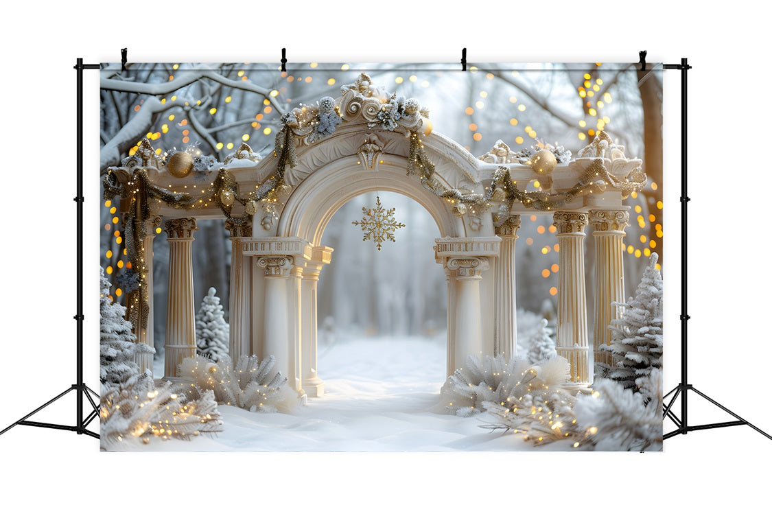 Christmas Elegant Archway with Snowflake Backdrop UK RR7-614