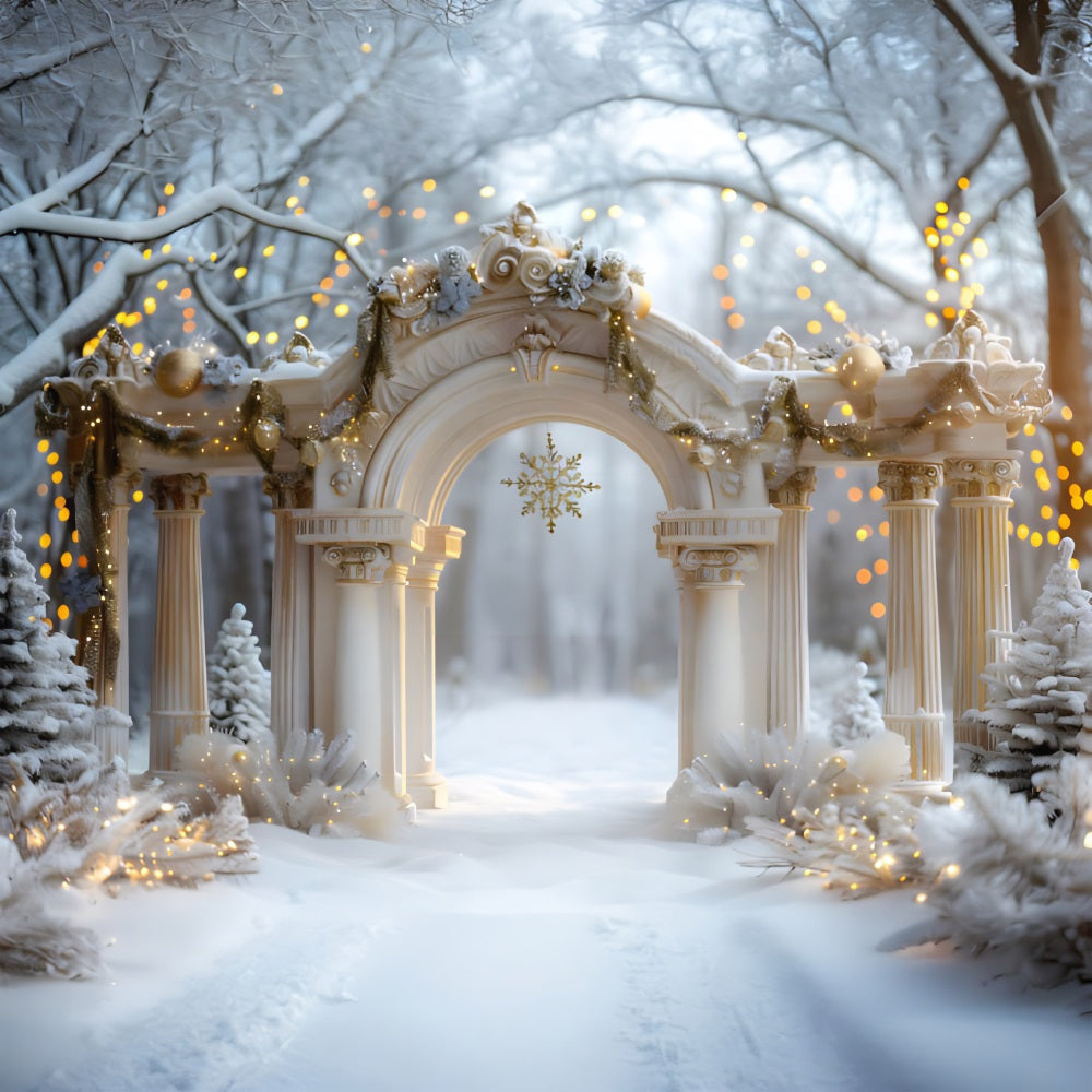 Christmas Elegant Archway with Snowflake Backdrop UK RR7-614