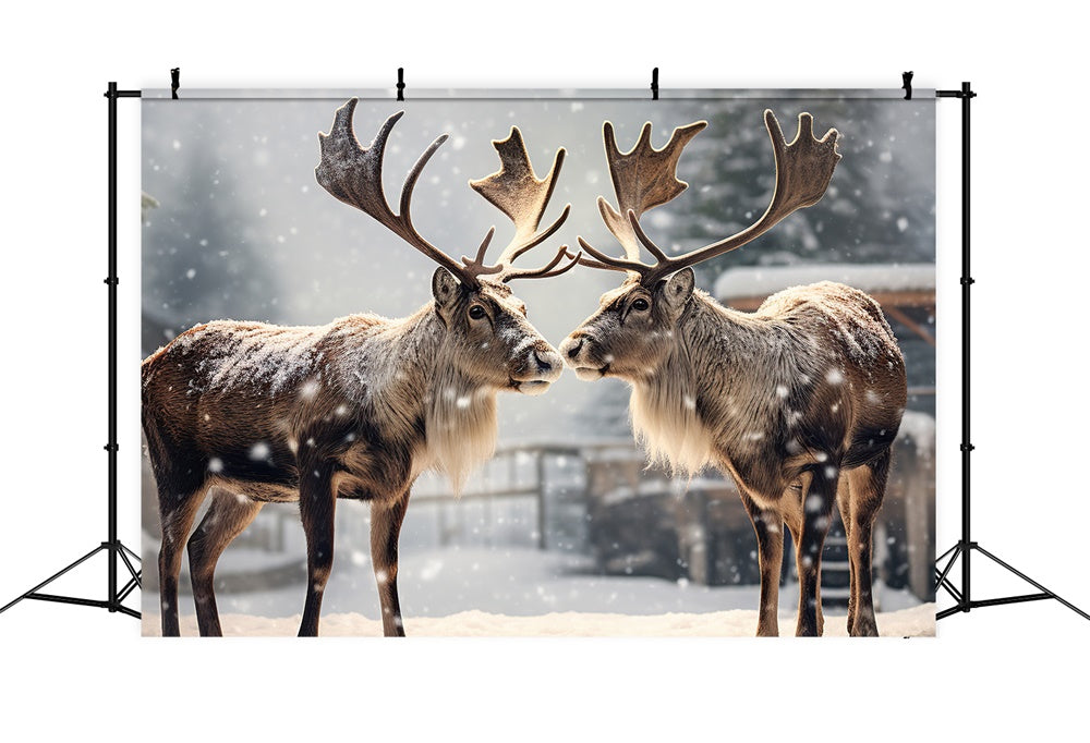 Christmas Reindeer Winter Snow Backdrop UK RR7-746