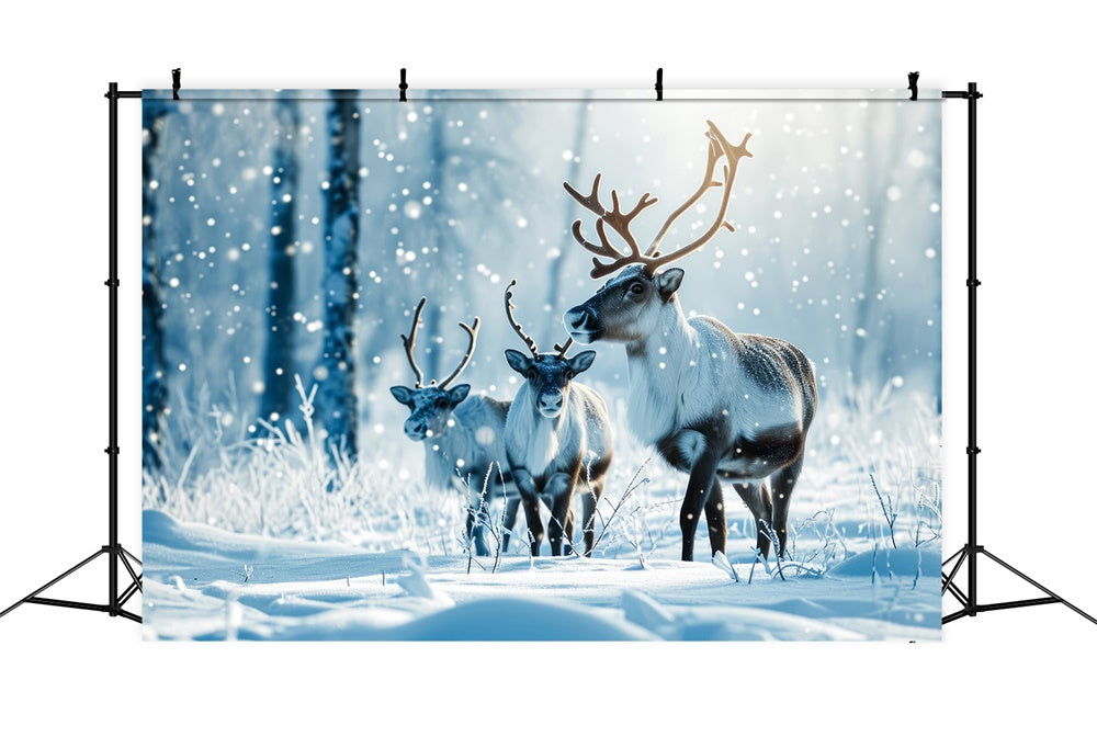 Christmas Reindeer Winter Snowy Forest Backdrop UK RR7-773