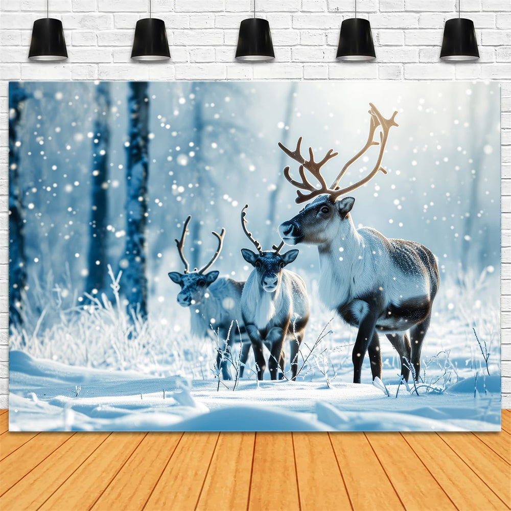 Christmas Reindeer Winter Snowy Forest Backdrop UK RR7-773