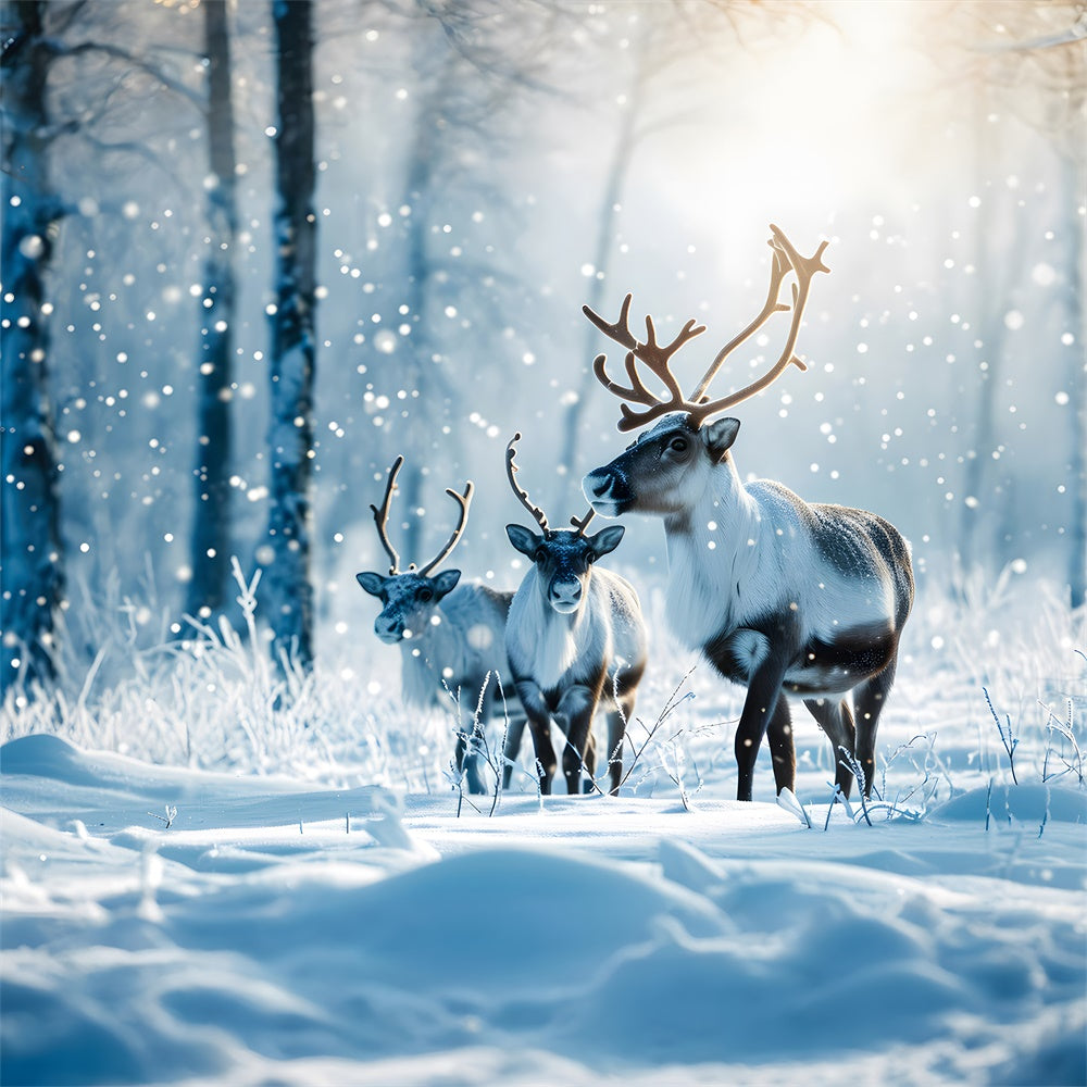 Christmas Reindeer Winter Snowy Forest Backdrop UK RR7-773