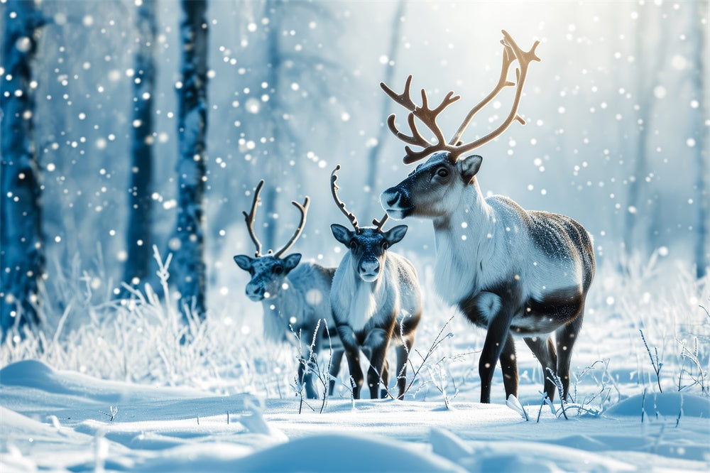 Christmas Reindeer Winter Snowy Forest Backdrop UK RR7-773