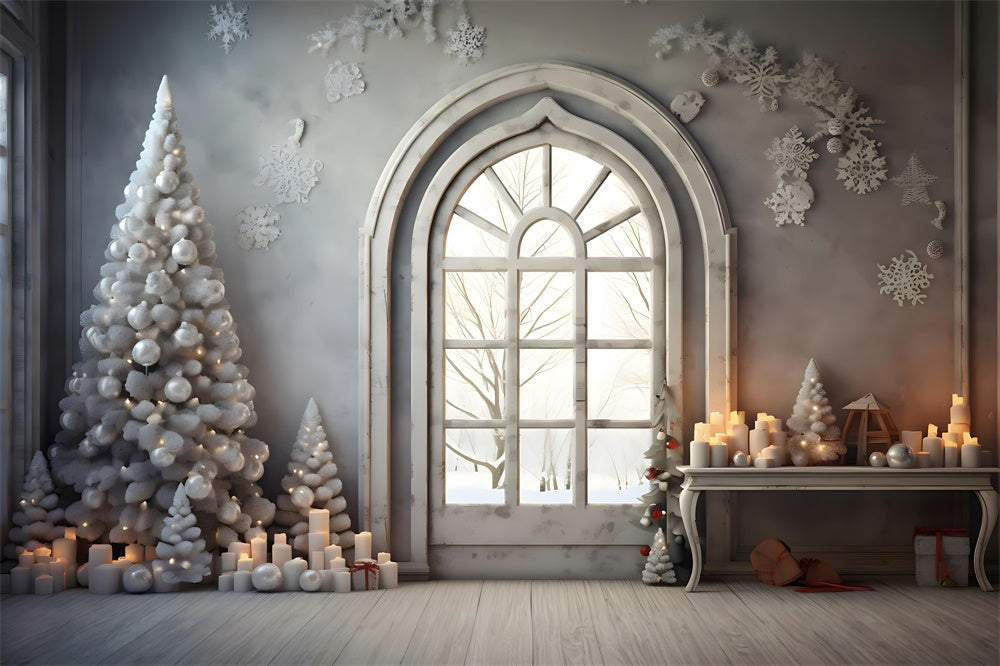 Christmas Arched Window Snowflake Backdrop UK RR8-224