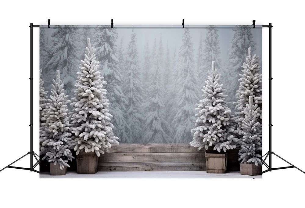 Christmas Snowy Forest Frosted Trees Backdrop UK RR8-247