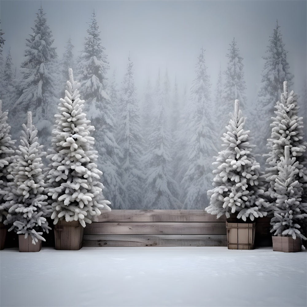 Christmas Snowy Forest Frosted Trees Backdrop UK RR8-247