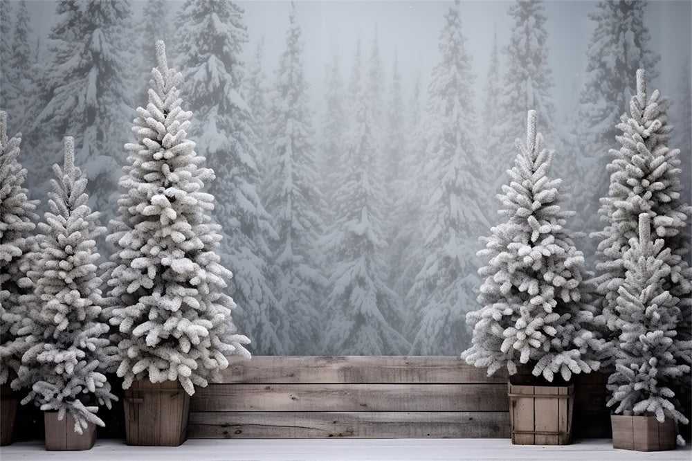 Christmas Snowy Forest Frosted Trees Backdrop UK RR8-247