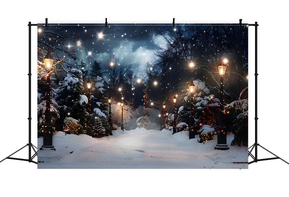 Christmas Snow Covered Trees Lights Backdrop UK RR8-28