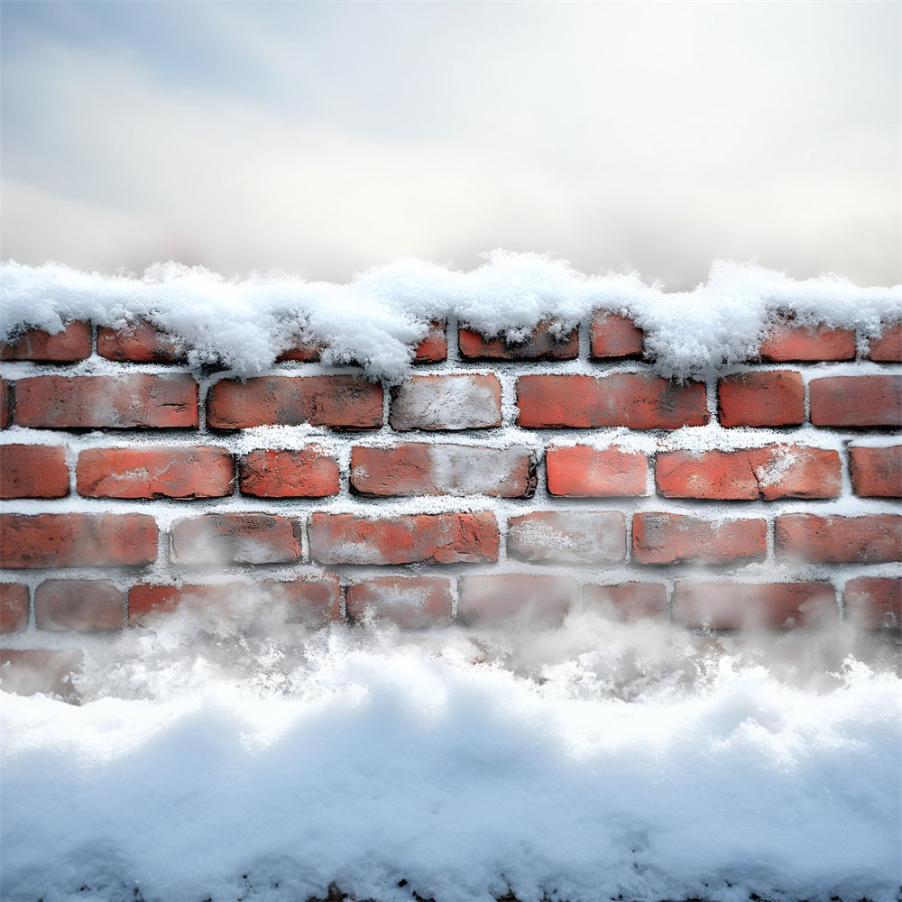 Frosted Brick Wall Snowy Floor Backdrop UK RR8-287