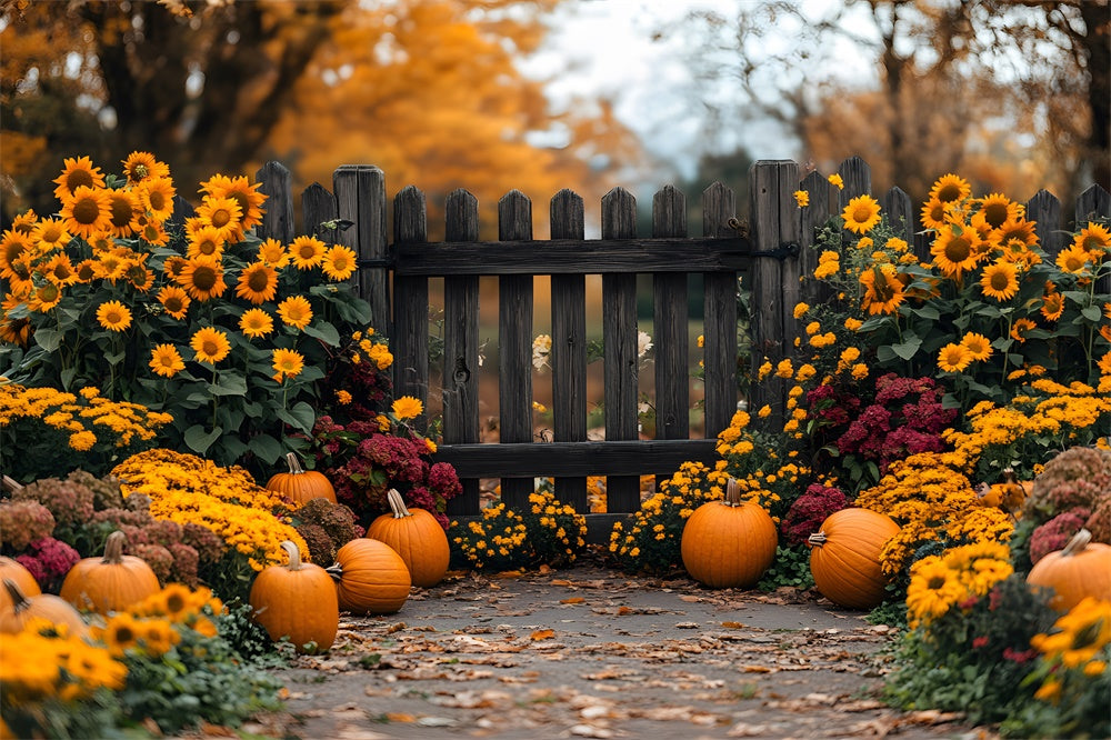 Autumn Sunflower Garden Pumpkins Backdrop UK RR8-308