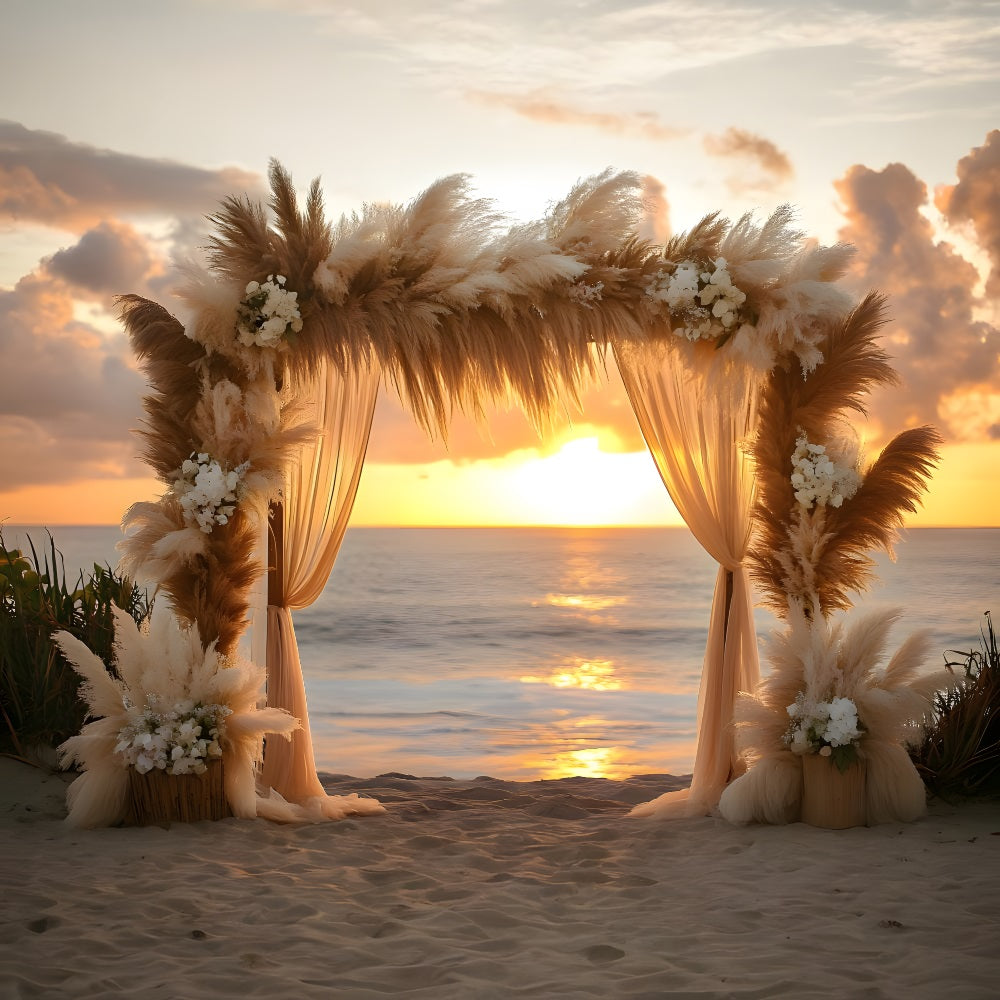 Beach Sunset Arch Bohemian Backdrop UK RR8-433