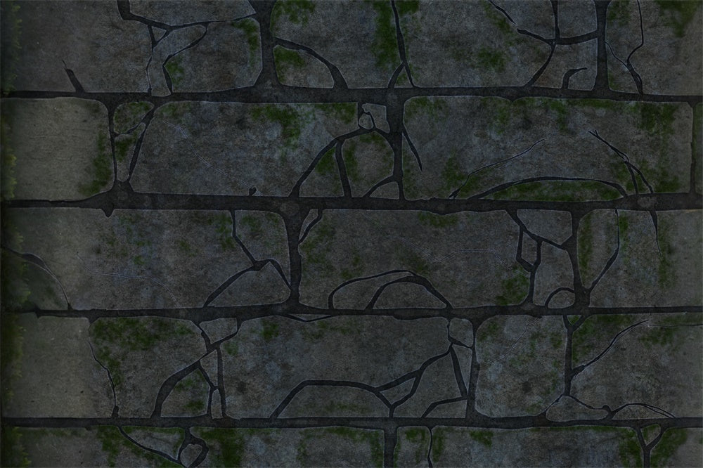 Cracked Brick Stone Trail Floor Backdrop UK RR8-582