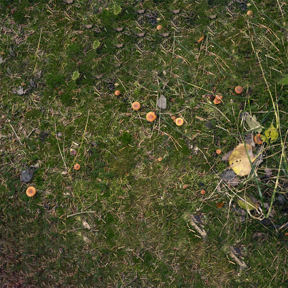 Grassland Fallen Leaves Mushroom Floor Backdrop UK RR8-584