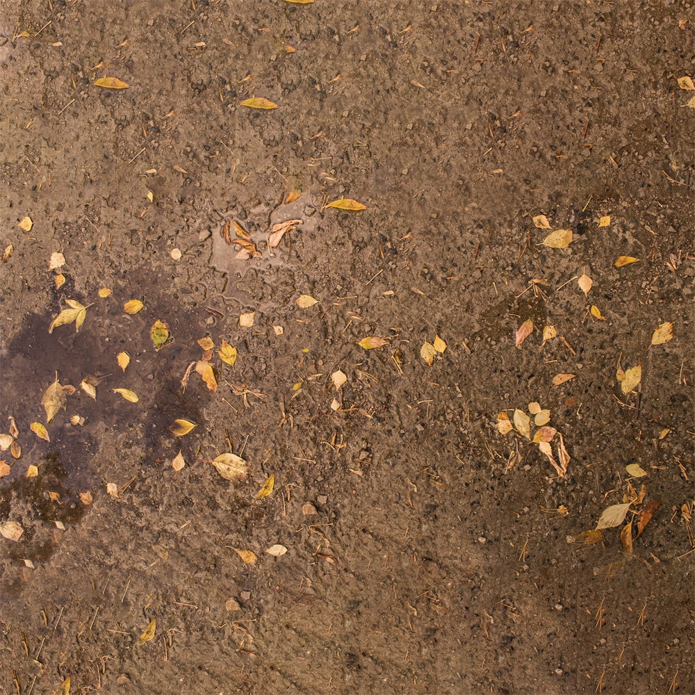 Withered Yellow Leaves Mud Floor Backdrop UK RR8-586