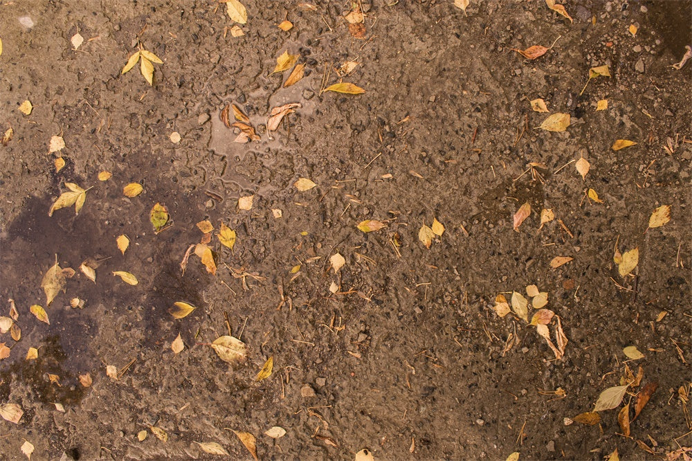 Withered Yellow Leaves Mud Floor Backdrop UK RR8-586