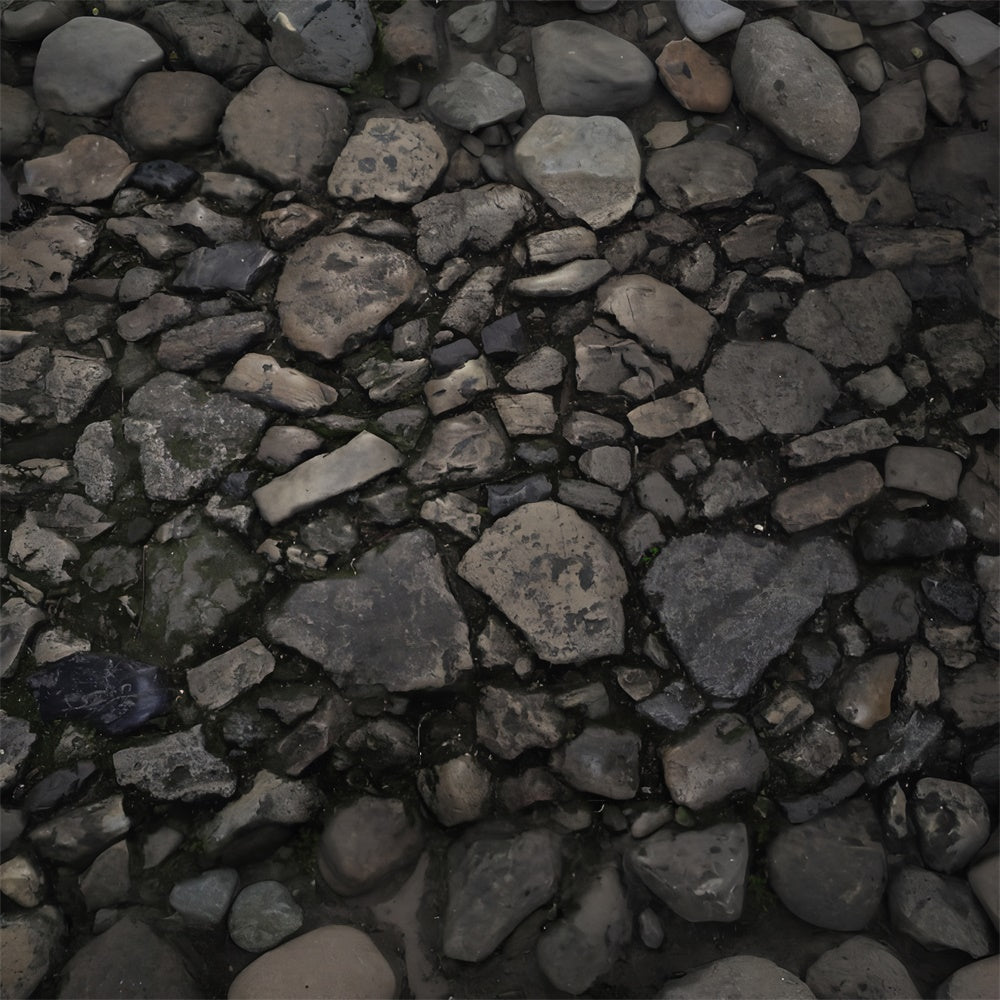 Rustic Stone Trail Texture Floor Backdrop UK RR8-599