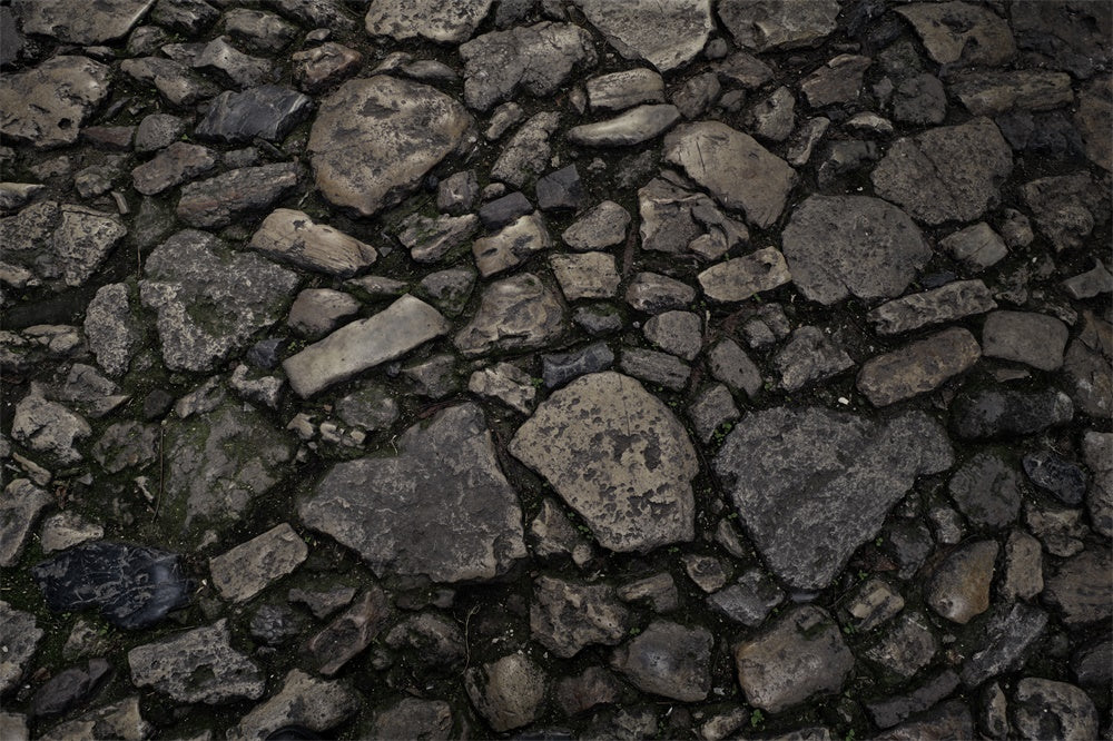 Rustic Stone Trail Texture Floor Backdrop UK RR8-599