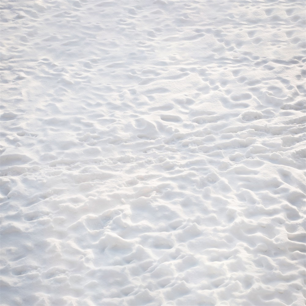 Pristine Snow Covered Floor Backdrop UK RR8-602