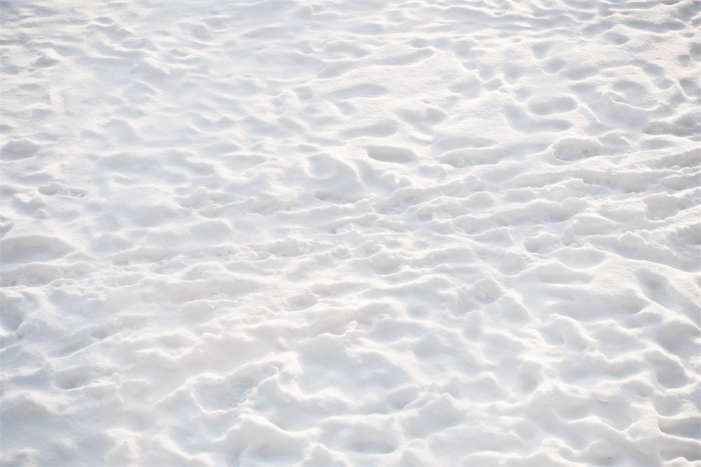 Pristine Snow Covered Floor Backdrop UK RR8-602