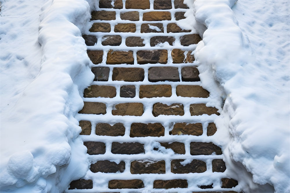 Snow Covered Stone Pathway Floor Backdrop UK RR8-603