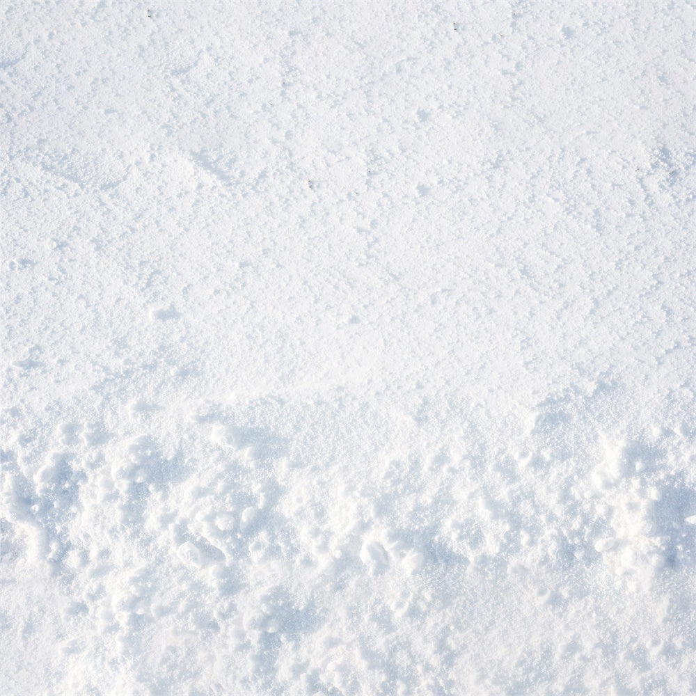 Fresh Snow Covered Floor Backdrop UK RR8-666