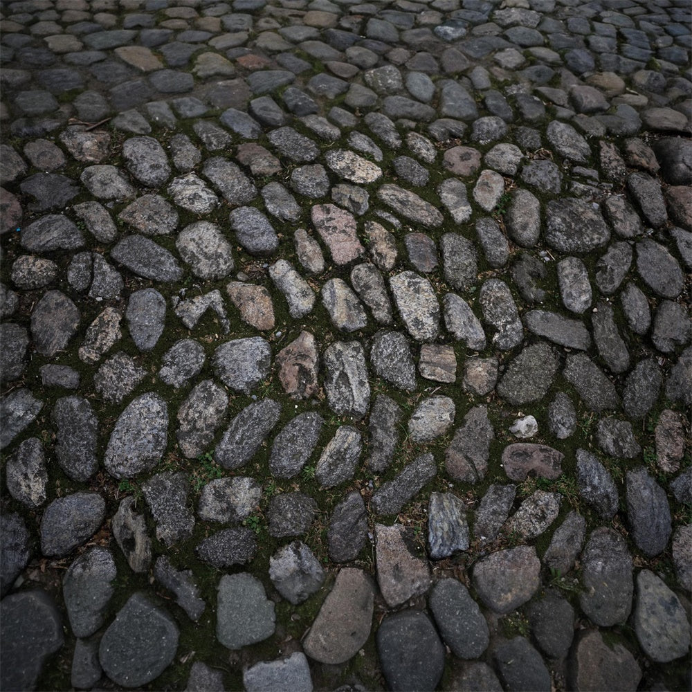 Cobblestone Pathway Floor Fabric Backdrop UK RR8-676