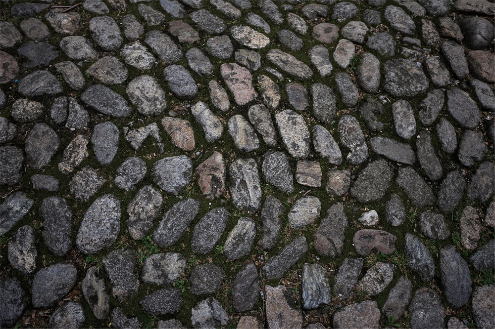 Cobblestone Pathway Floor Fabric Backdrop UK RR8-676