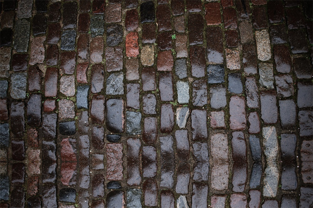 Wet Brick Road Fabric Floor Backdrop UK RR8-677