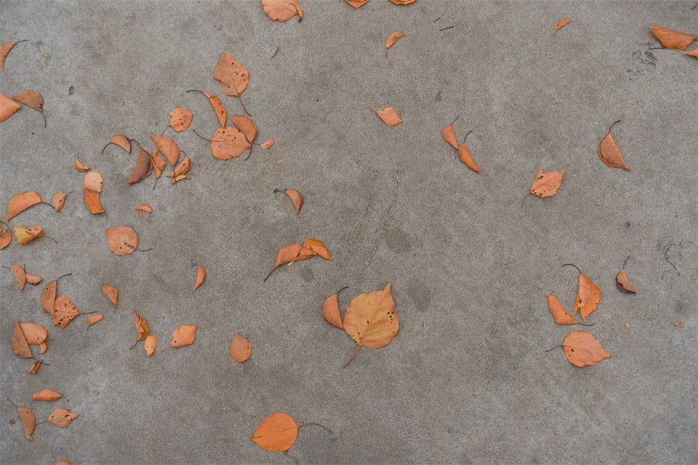 Autumn Leaves Concrete Floor Backdrop UK RR8-678