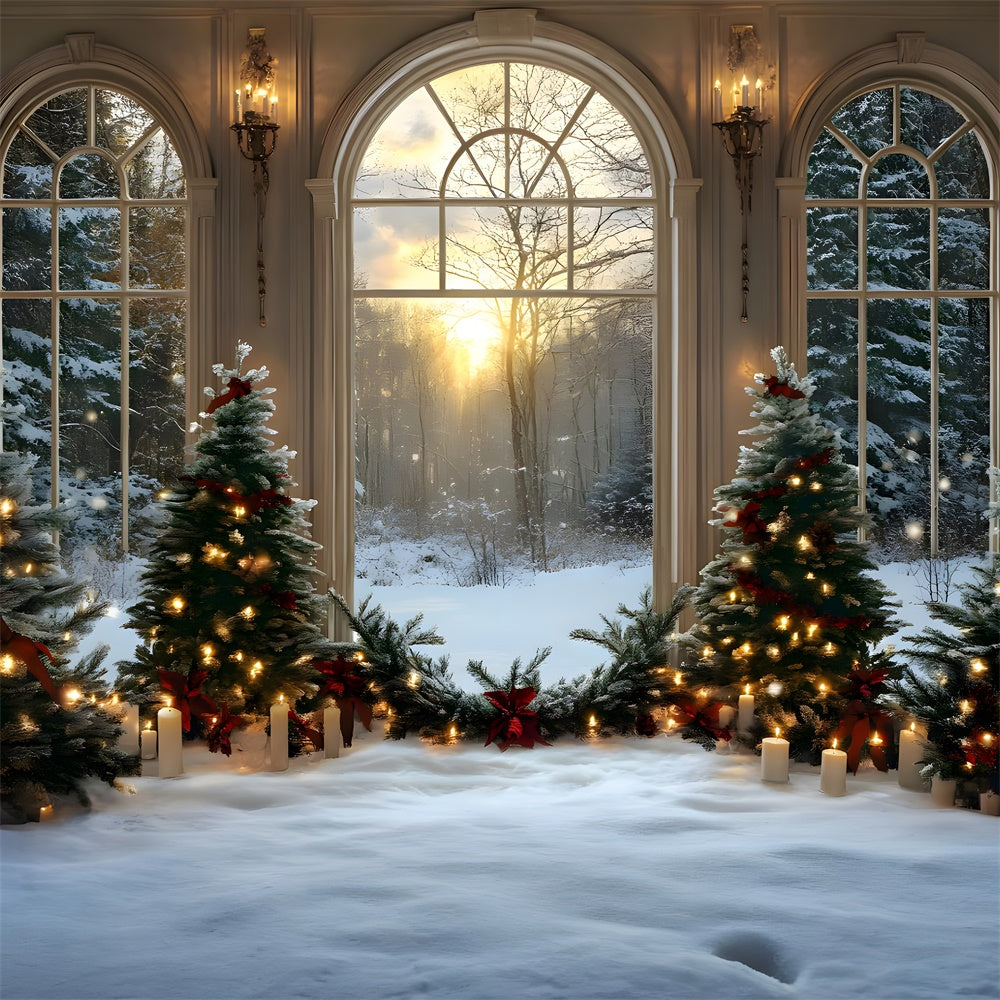 Christmas Trees Candles Window Snow Backdrop UK RR8-89