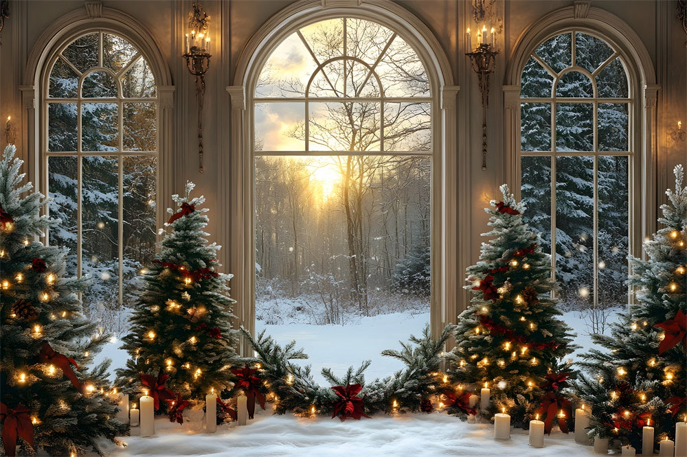 Christmas Trees Candles Window Snow Backdrop UK RR8-89