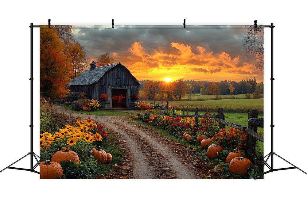 Autumn Country Road Pumpkin Sunset Backdrop UK RR9-1