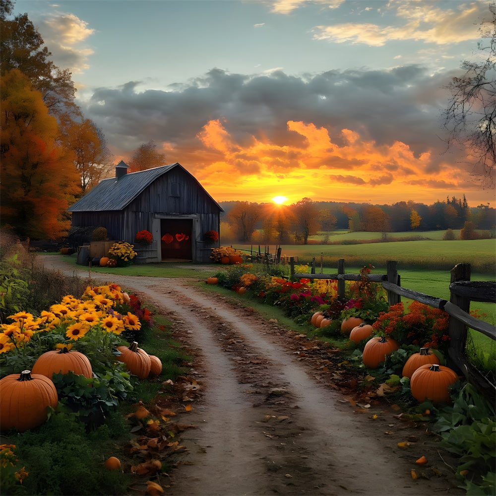 Autumn Country Road Pumpkin Sunset Backdrop UK RR9-1