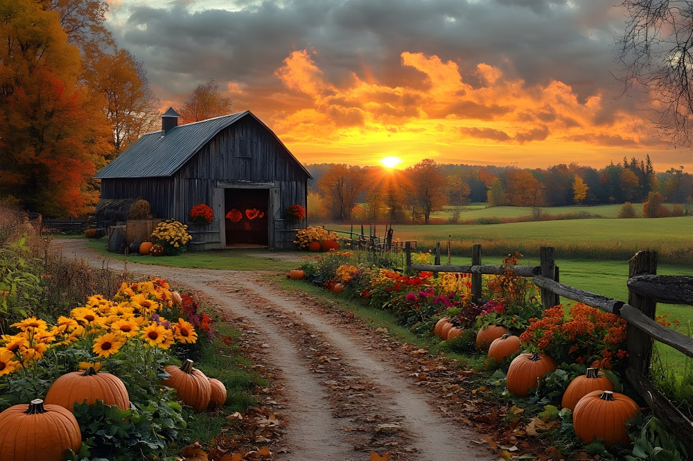 Autumn Country Road Pumpkin Sunset Backdrop UK RR9-1