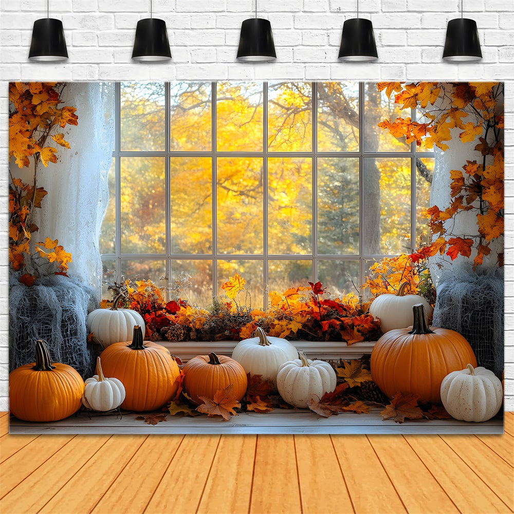 Autumn Maple Trees Window View Pumpkin Backdrop UK RR9-27