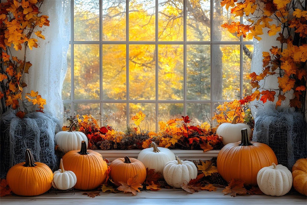 Autumn Maple Trees Window View Pumpkin Backdrop UK RR9-27