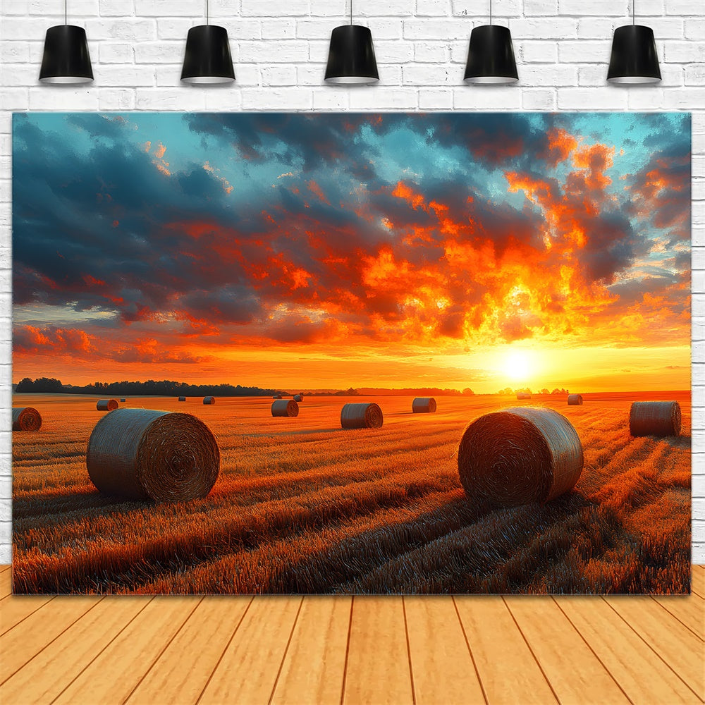 Autumn Sunset Harvest Wheat Field Backdrop UK RR9-29