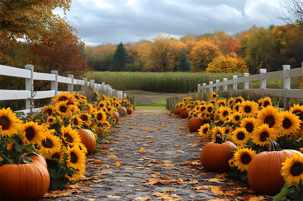 Autumn Sunflower Pumpkin Trail Forest Backdrop UK RR9-38