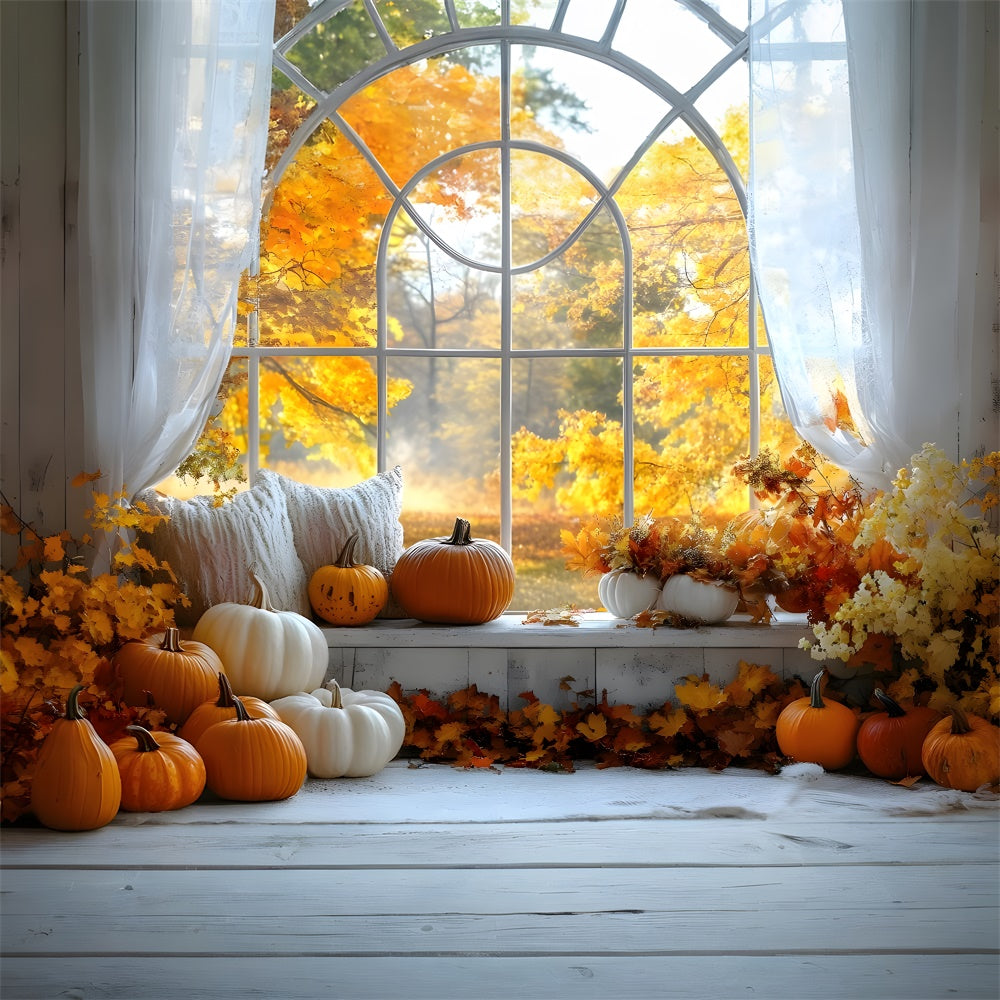 Autumn Pumpkins Window Maple Trees View Backdrop UK RR9-4