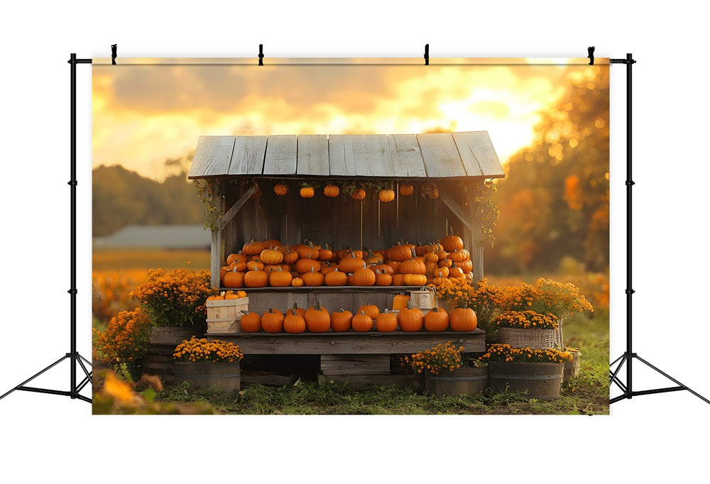 Autumn Sunset Pumpkin Flowers Wood Display Backdrop UK RR9-40