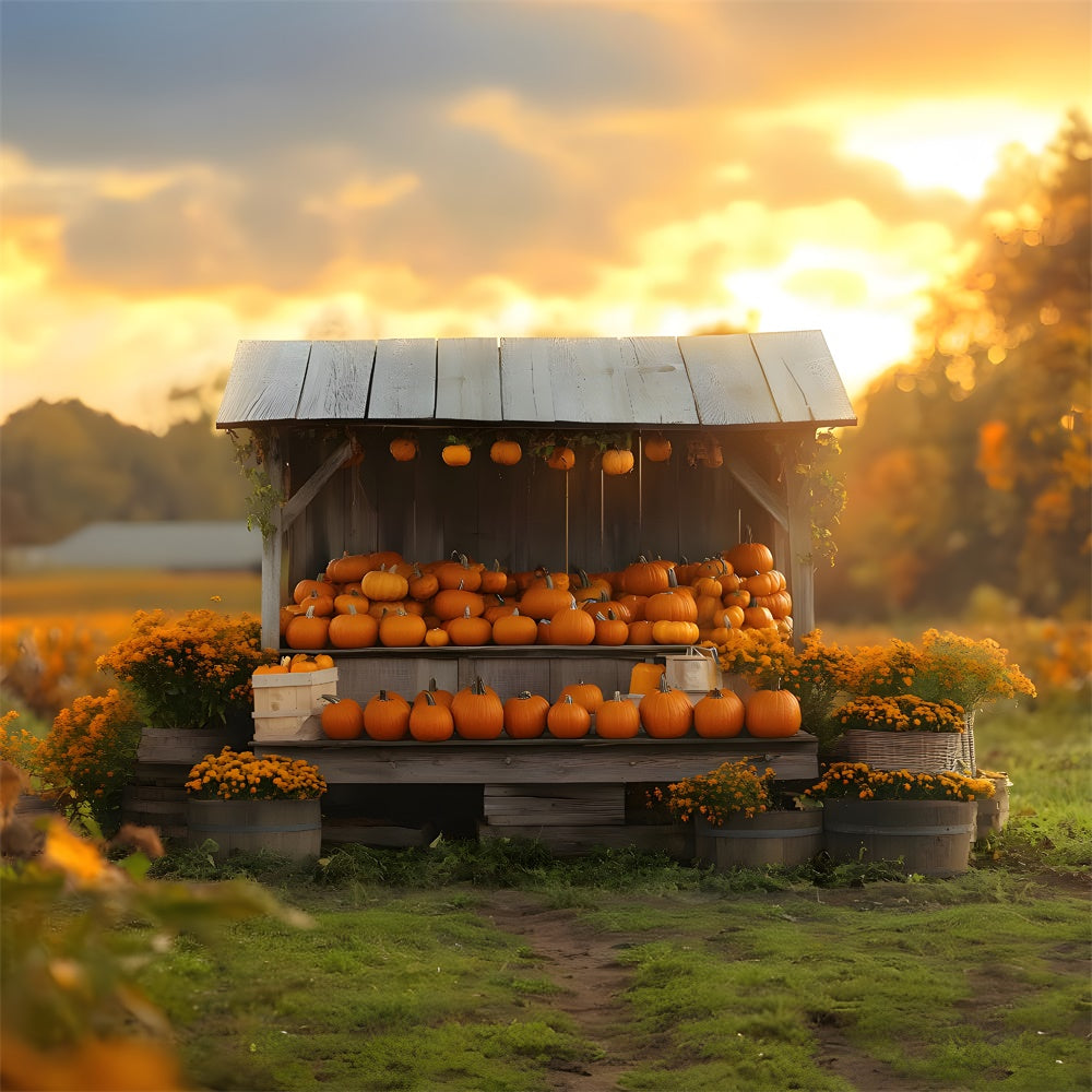 Autumn Sunset Pumpkin Flowers Wood Display Backdrop UK RR9-40