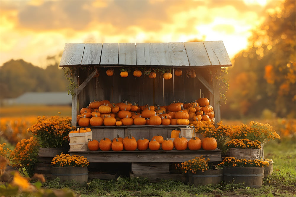 Autumn Sunset Pumpkin Flowers Wood Display Backdrop UK RR9-40