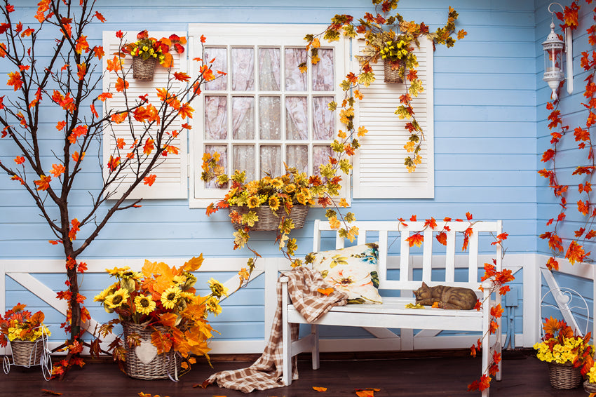 Window Backdrop UK Maple Leaf Photography Backgrounds Blue Backdrop UK S-3066