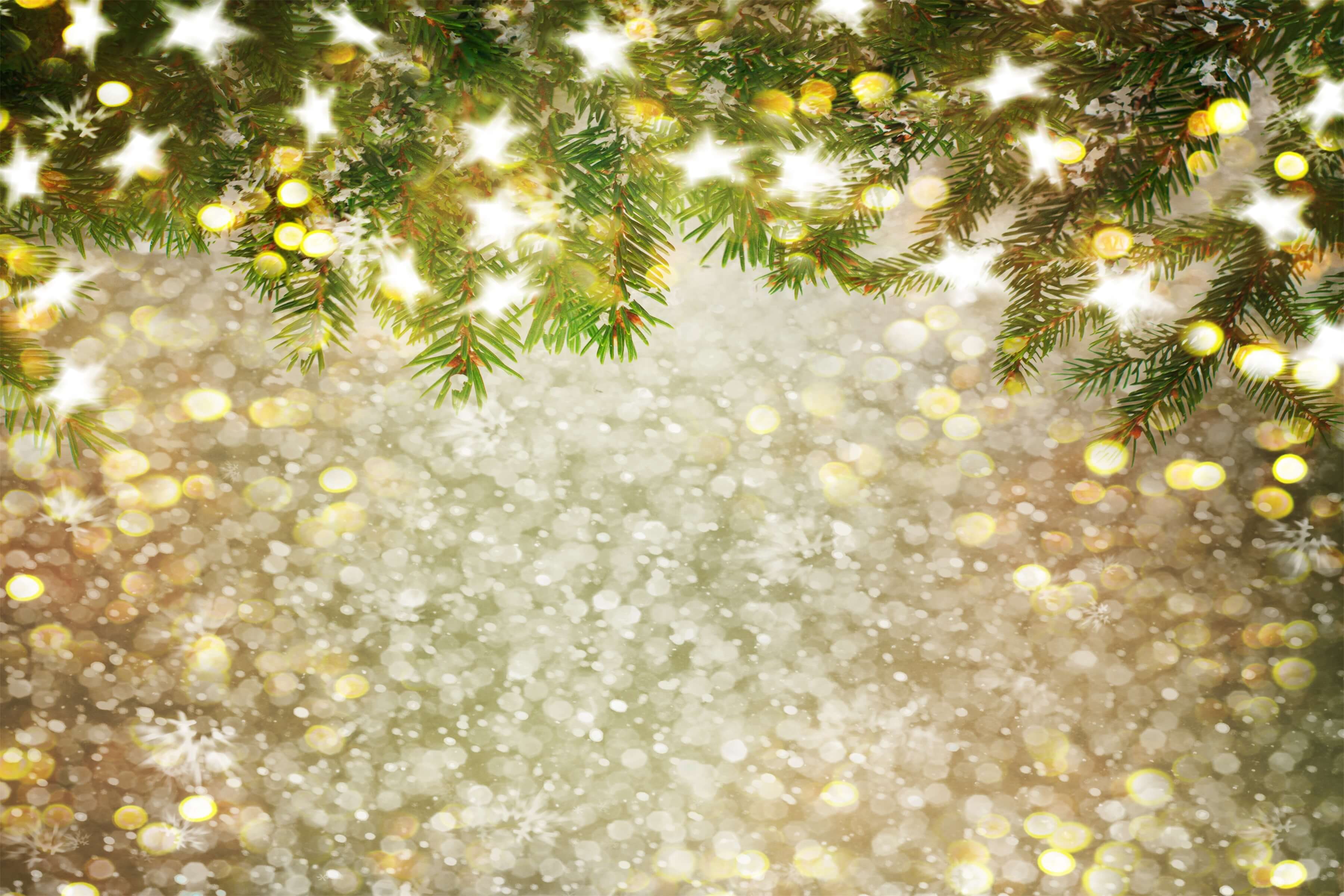 Bokeh Christams Tree Snowflake Stars backdrop UK for Studio S-3180