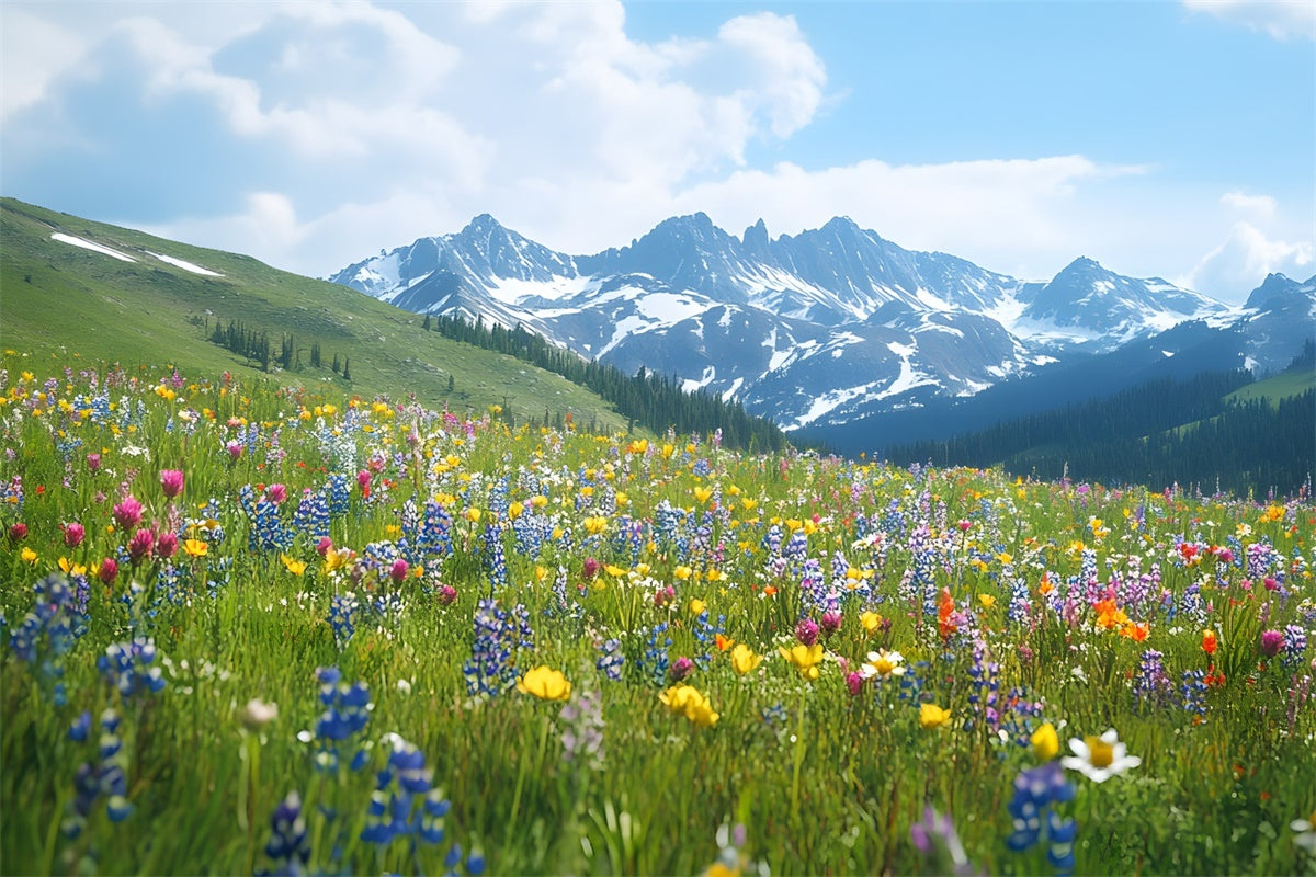 Spring Backdrops Wildflower Meadow Mountain View Backdrop UK TWW2-32