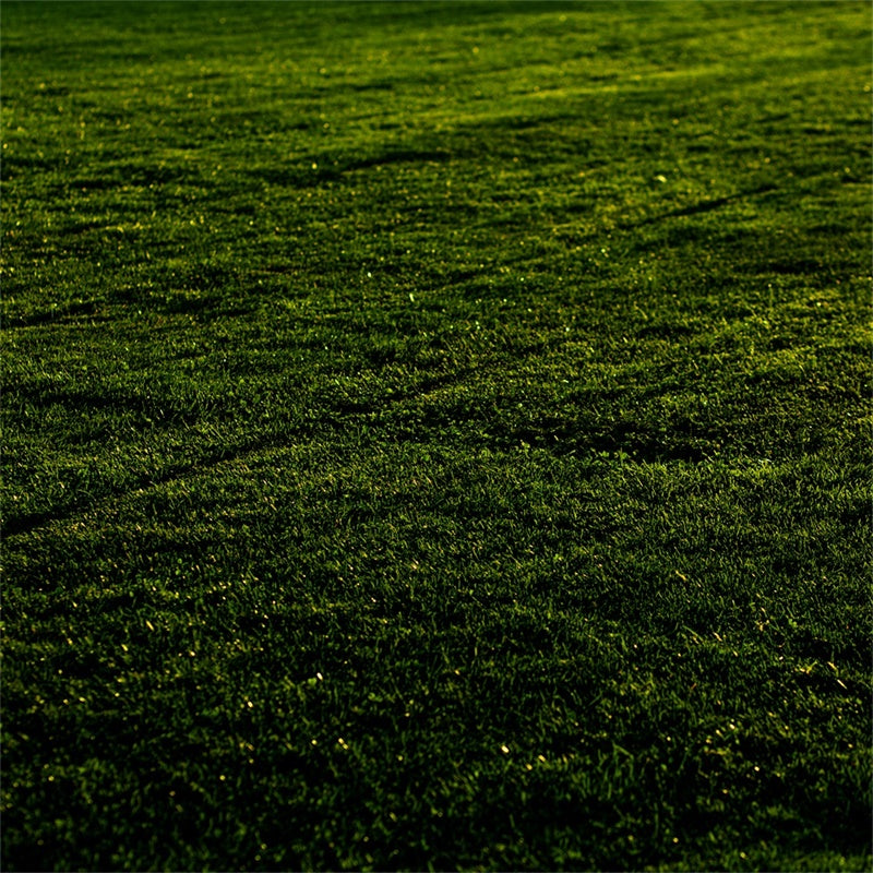 Floor Backdrops Sunset Meadow Grass Floor Backdrop UK TWW57-1