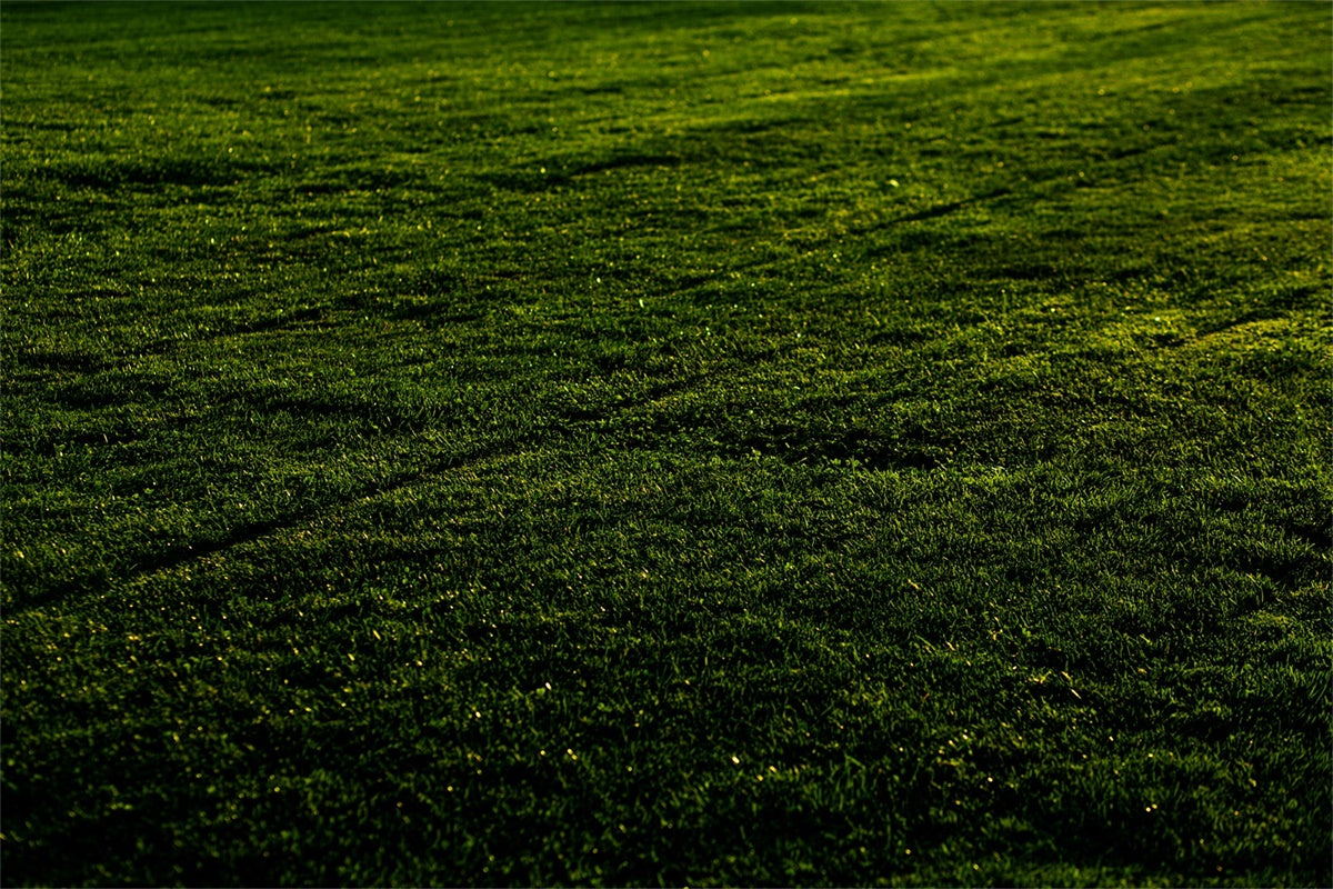 Floor Backdrops Sunset Meadow Grass Floor Backdrop UK TWW57-1