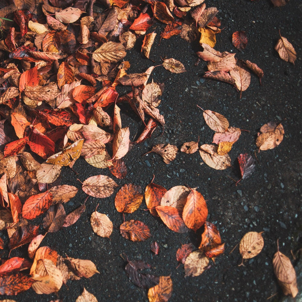 Photography Floor Backdrops Rustic Leaf Floor Backdrop UK TWW57-13