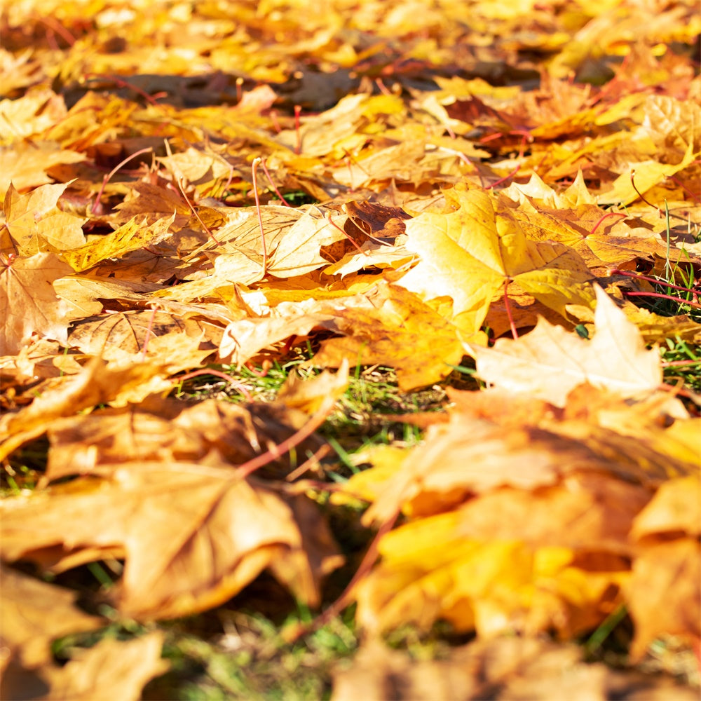 Photography Floor Backdrop Bright Leaves Floor Backdrop UK TWW57-18